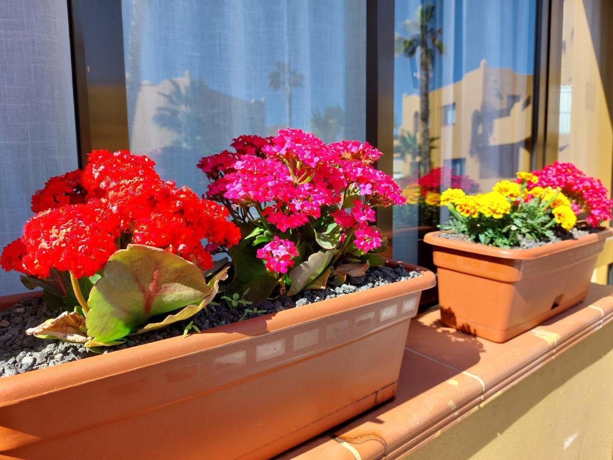 Casa Ledu - Sunny Holiday In Fuerteventura Corralejo Eksteriør billede